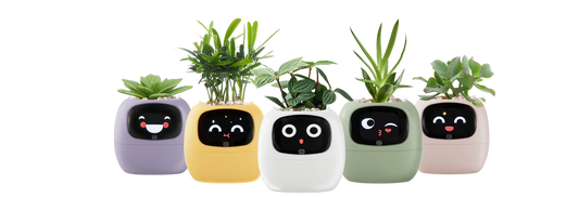 Ivy Smart Planter